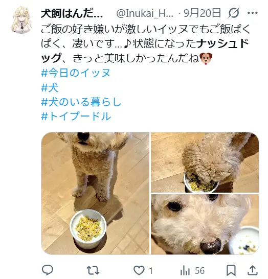 ナッシュドッグを食べるトイプードル。食いつきが悪い犬でも夢中になって完食した様子を撮影した口コミ写真。
