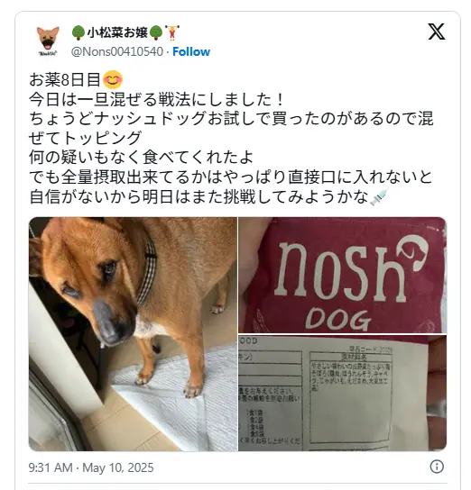 ナッシュドッグを実際に試したユーザーのSNS投稿。犬がパウチ入りフードを食べた様子を報告。