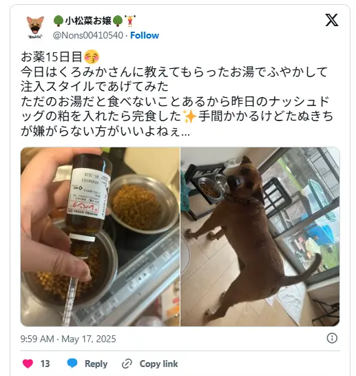 ナッシュドッグの粥を加えたドッグフードを与える様子と、元気に反応する犬の姿。X(旧Twitter)の投稿より引用。