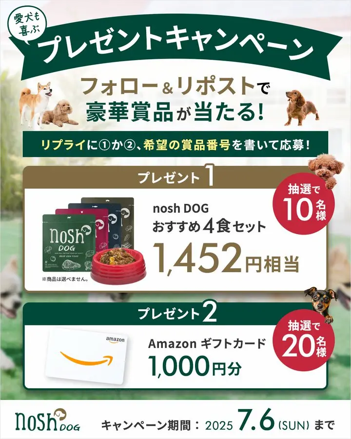 nosh DOGプレゼントキャンペーン告知画像。愛犬用ドッグフード4食セットやAmazonギフトカードが抽選で当たる。応募方法やキャンペーン期間(2025年7月6日まで)が記載。