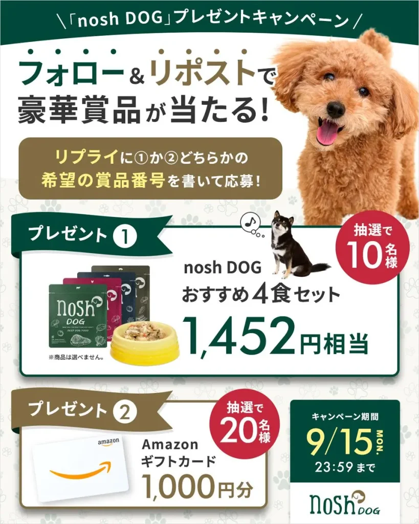 犬用の冷凍手作りご飯「nosh DOG」のプレゼントキャンペーンポスター。かわいいトイプードルが上部に配置され、「フォロー＆リポストで豪華賞品が当たる！」という文字が目立つ。賞品は、「nosh DOG おすすめ4食セット」が10名と「Amazonギフトカード1,000円分」が20名。応募方法、キャンペーン期間（9/15まで）、ブランドロゴ（nosh DOG）も記載されている。