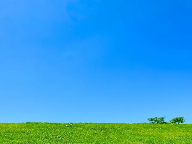 体調が良いときの爽やかなイメージ