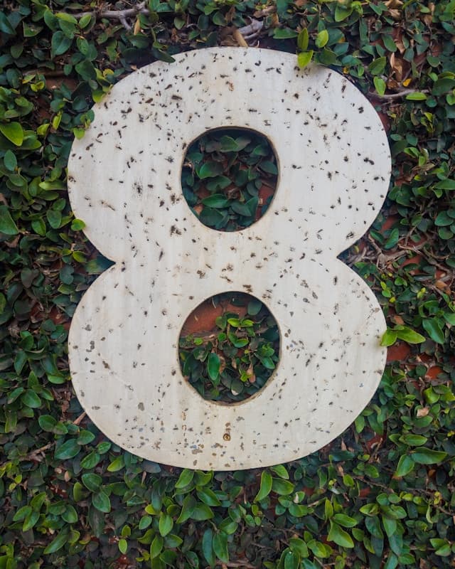 ナッシュでダイエット開始から8か月経過したことを象徴する数字の8の写真