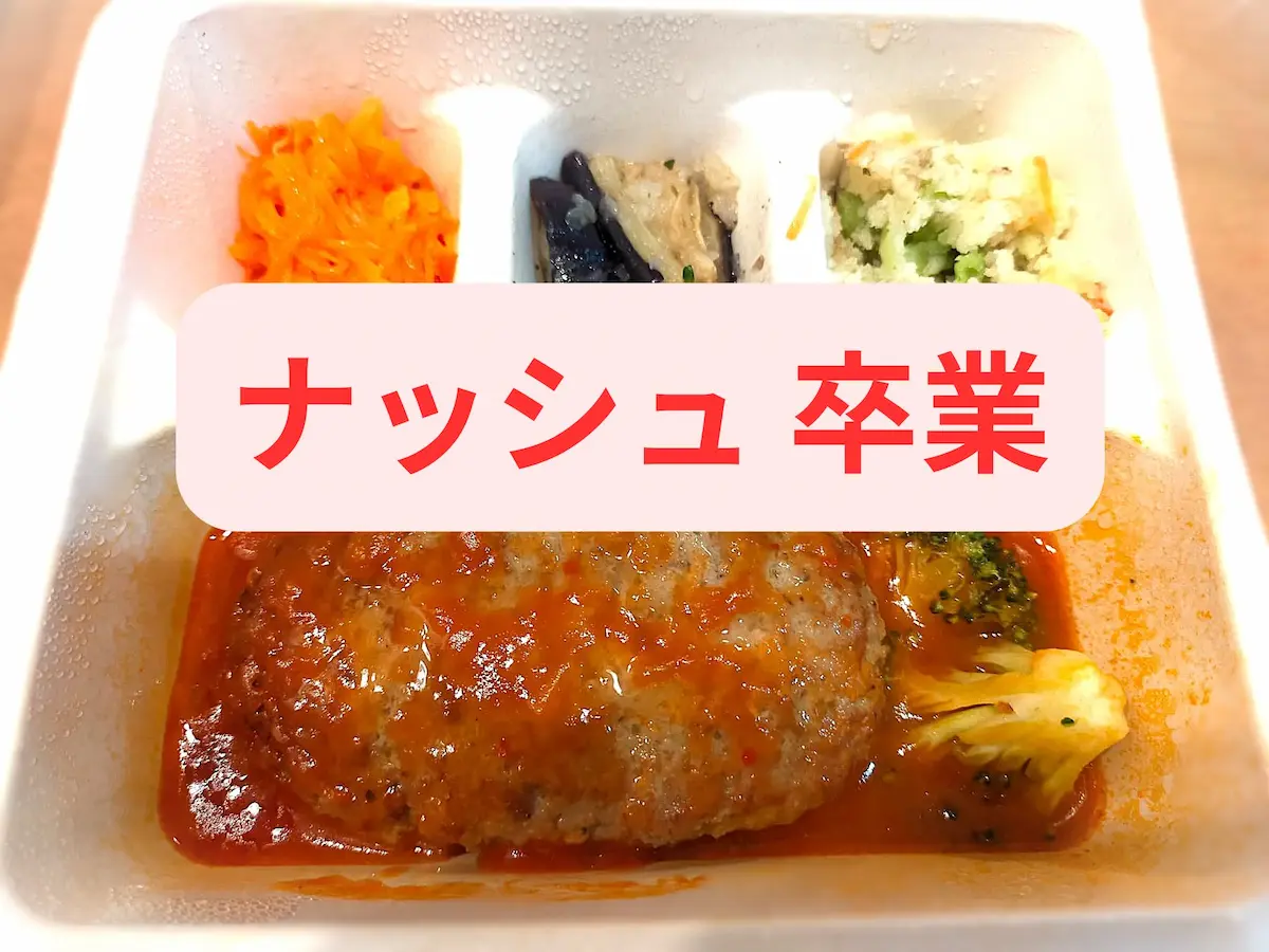 ナッシュをやめた人のその後の選択肢を解説する宅配弁当の写真